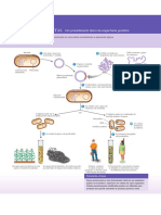 Microbioloiga Livro PDF