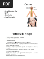Causas y Factores de Riesgo de Rabia