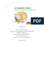 The Amygdala Project
