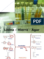 LIA Lisina - Hierro - Agar