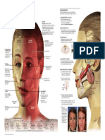 2013 Paralisis Facial Copyright PDF