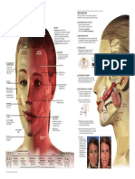 2013_Paralisis_facial_copyright.pdf