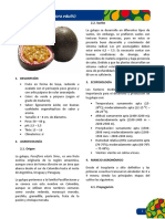 Ficha Tecnica Gulupa PDF