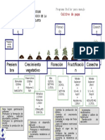 Programa Stoller para Papa