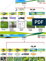 Programa de Nutricion Foliar - Farmex