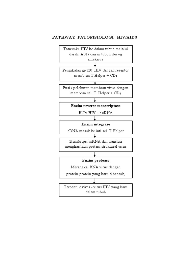Pathway Patofisiologi Hiv Aids | PDF