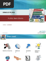 01 RIO PL SQL Basic Blocks