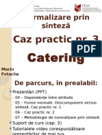 08 Normalizare Caz3 Catering CuAnimatie