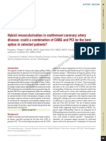 Revascularizacion Hibrida