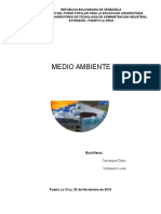 Medio ambiente.docx