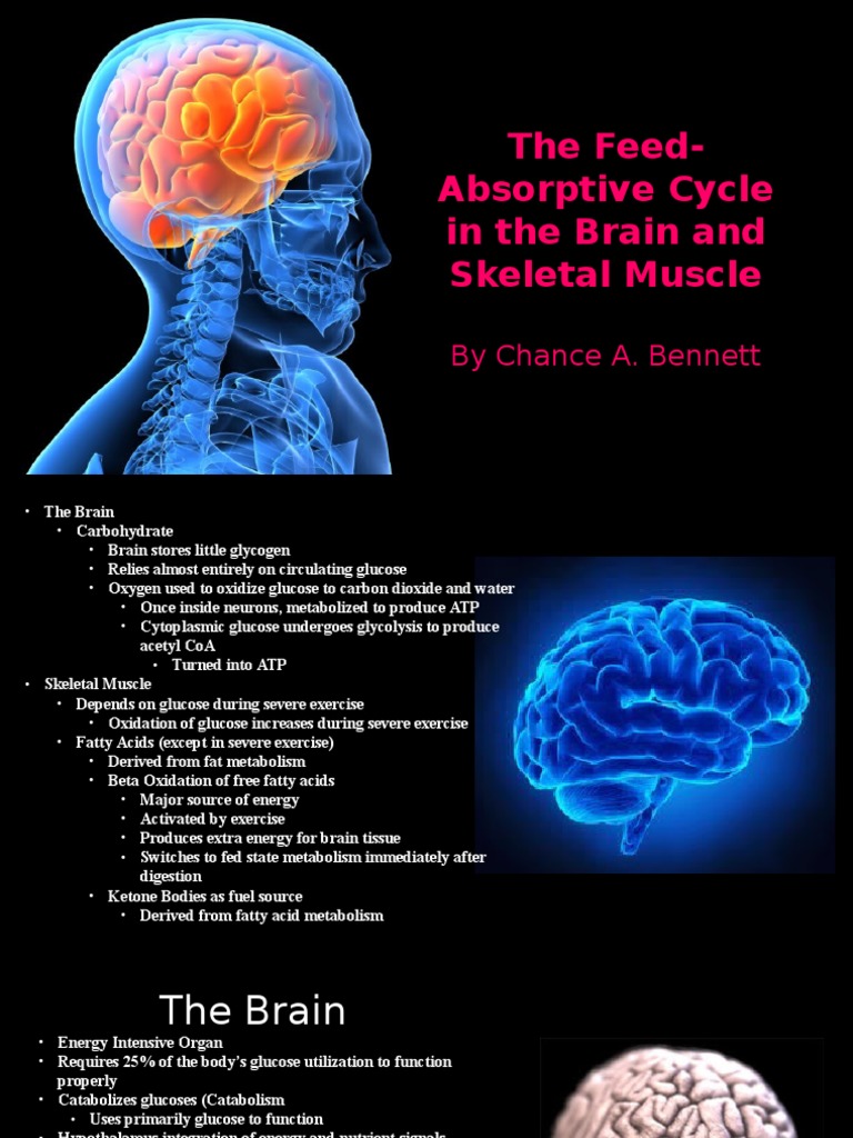 Biochempresentation | PDF | Citric Acid Cycle | Diet & Nutrition