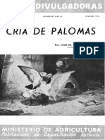 Palomas 7