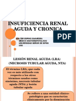 Insuficiencia Renal Aguda y Cronica 