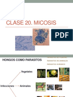 Clase 20. Micosis