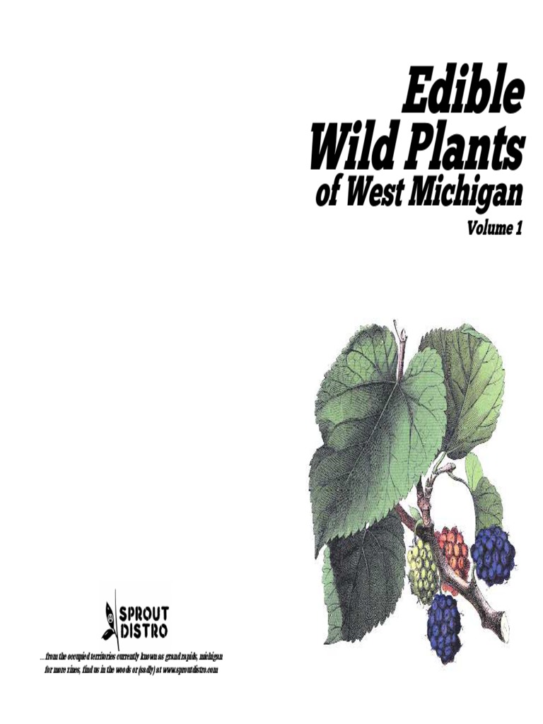 Foraging Edible Plants in West Michigan | PDF