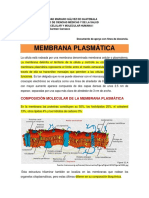 Membrana Celular Documento