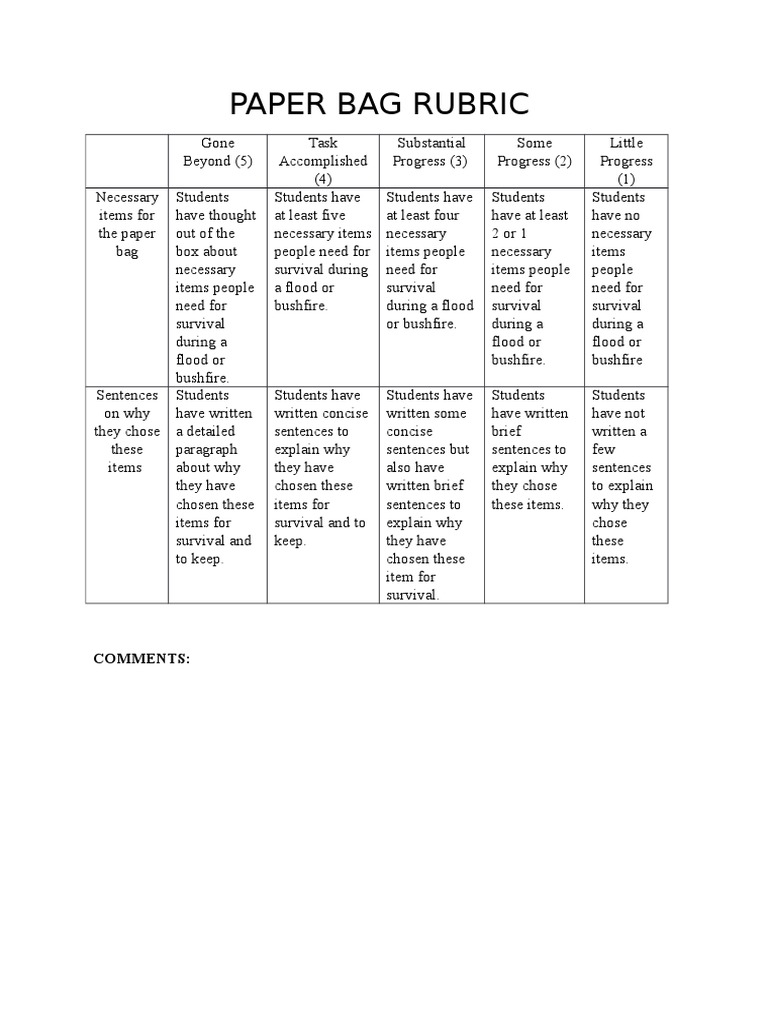 Lesson 9 Paper Bag Rubric PDF