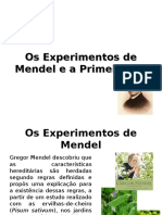 Os Experimentos de Mendel e A Primeira Lei-2012