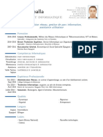 CV Bruballa PDF