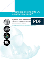 Pedigree Dog Breeding in The UK: A Major Welfare Concern? by DR Nicola Rooney and DR David Sargan