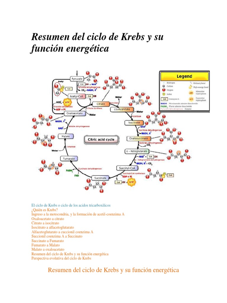 Resumen del ciclo de Krebs y su función energética.pdf