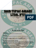 SAIS TUPAC AMARU LTDA Nic 41 PDF