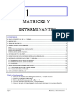 Matrices y Determinantes