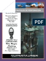 calculosdeperforacion-130725192254-phpapp02.pdf