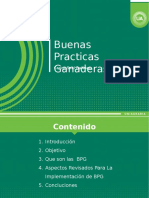 Buenas Practicas Ganaderas