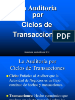 Auditoría Por Ciclo de Transacciones