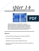 14 SDS Page 2013 PDF