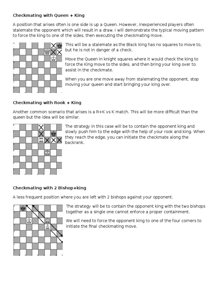 Beginner - Checkmates | PDF