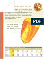 Corn Milling Process PDF