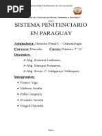 Trabajo Completo de Derecho Penal