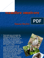 Mamifere Omnivore