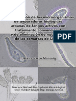 Concurso Microbiologia GBS Segundo Premio 2008 Hydrolab Vasco J Mas M UB Salvado H PDF