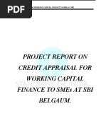 Credit Appraisal Process PDF