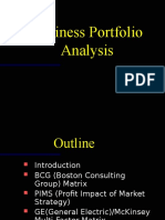 Business Portfolio Analysis