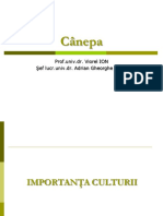 Canepa.pdf