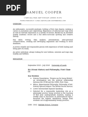 professional cv