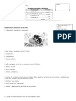 Prueba diagnostica 4ºbasico