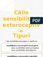 Caile Sensibilitatii Exteroceptive