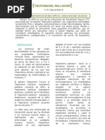 Download Treponema Pallidum Articulo by Kenny De la Rocha SN317728933 doc pdf