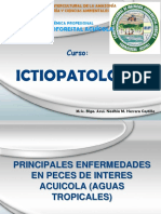 Ictiopat Sem 6 2016 I