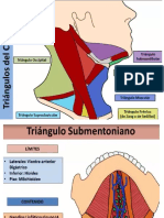 Triangulos Del Cuello