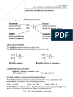 Tema Division Naturales Taller