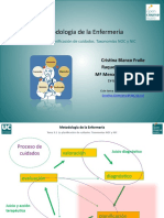 5.1-planificacion priorizar diagnosticos.pdf