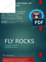 Fly Rocks