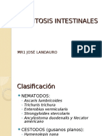 Parasitosis Intestinales