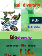 1 Biologicaldiversity 091213082402 Phpapp01